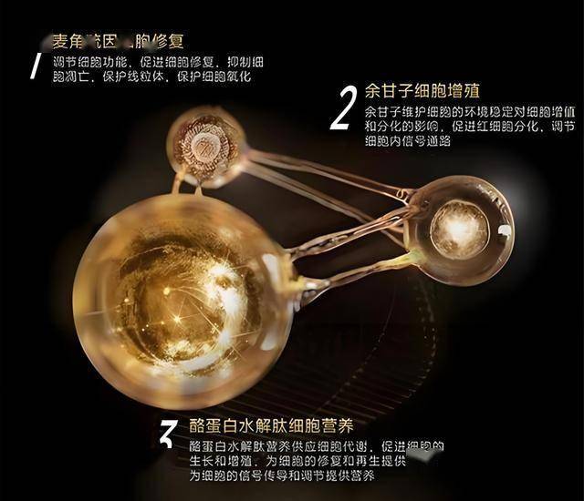 xm外汇官网开户中国数字“智造”为上合政府产业转型贡献智慧